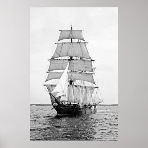 The Bark Robert Ewing Poster