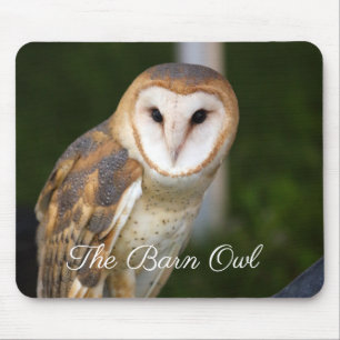 The Barn Owl Mouse Mat