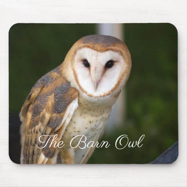 The Barn Owl Mouse Mat (Front)