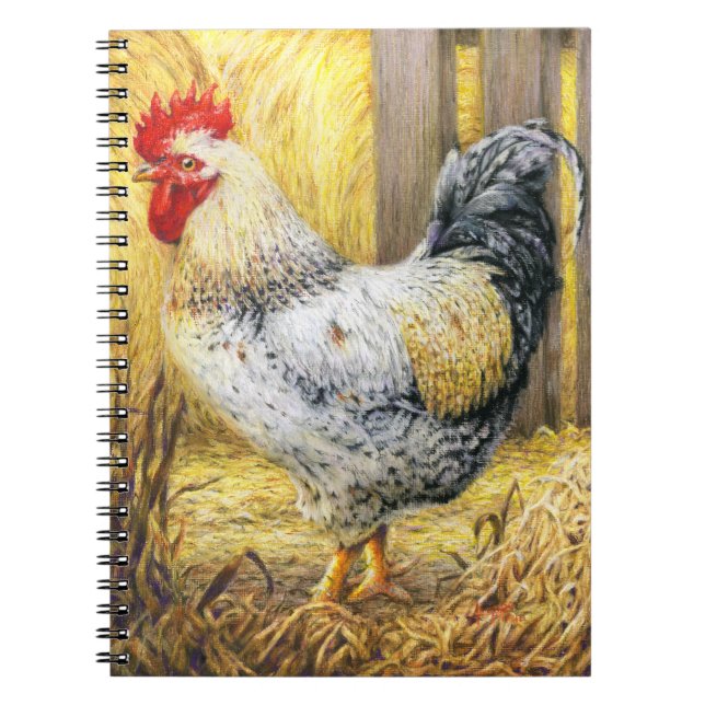The Barn Rooster Notebook (Front)