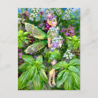 The Basil Fairy Postcard