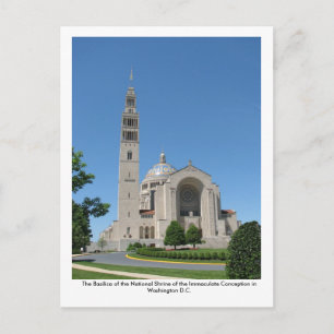 The Basilica of the National Shrine Postcard