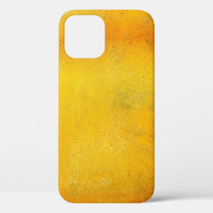 The Basilica of the Sacred Heart of Parisarchitect iPhone 12 Case