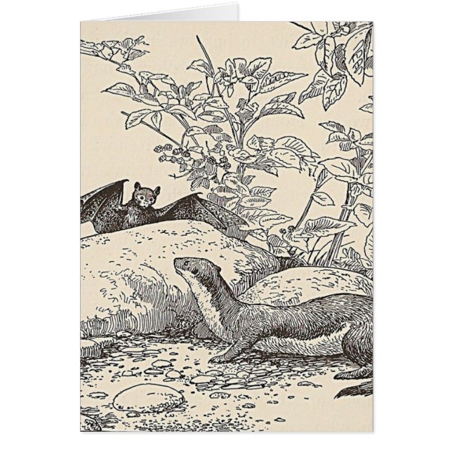 The Bat and The Mink (Front)