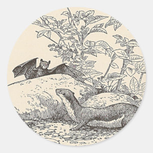 The Bat and The Mink Classic Round Sticker
