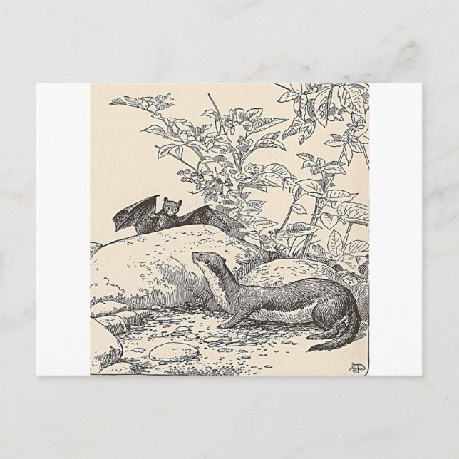 The Bat and The Mink Postcard (Front)