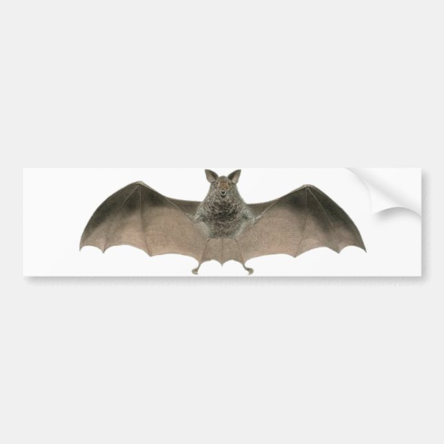 the bat bumper sticker (Front)