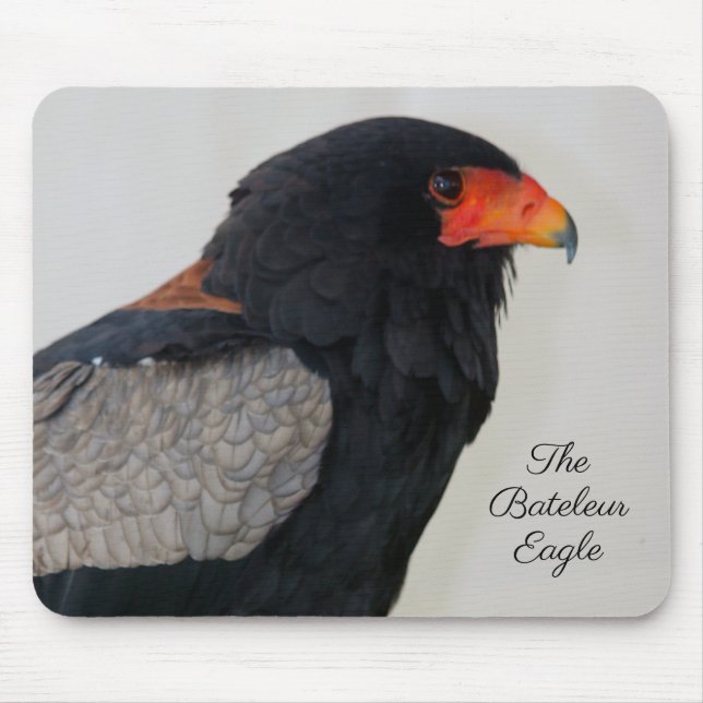 The Bateleur Eagle Mouse Mat (Front)