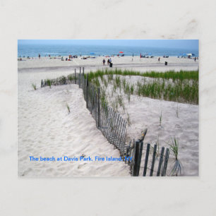 The Beach at Davis Park Postcard