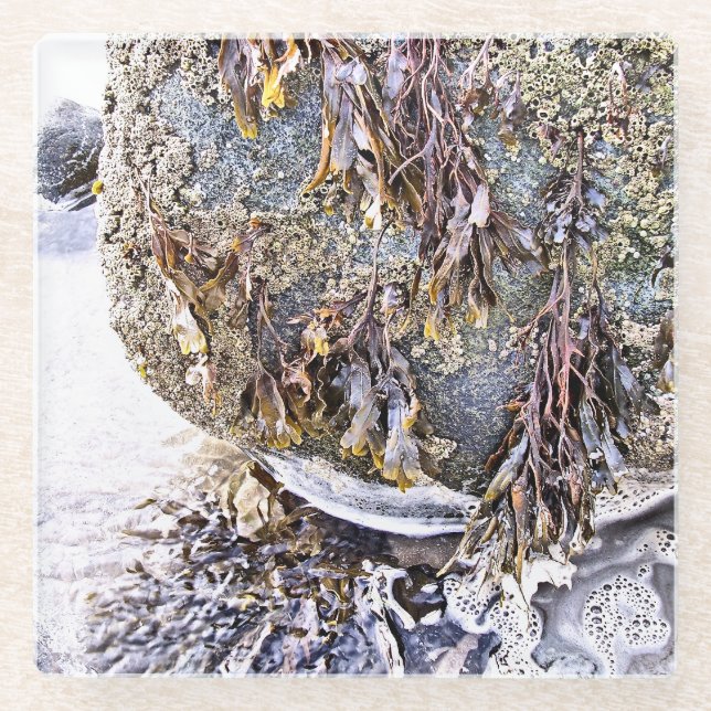 THE BEACH GLASS COASTER (Front)