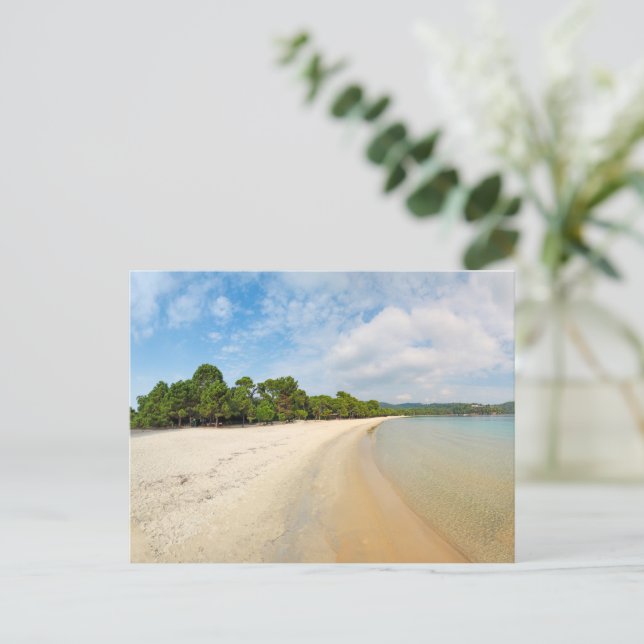 The beach Koukounaries of Skiathos island, Greece Postcard (Standing Front)