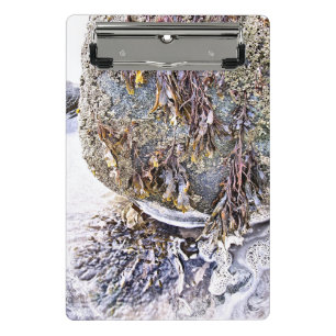 THE BEACH MINI CLIPBOARD