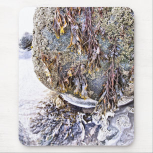 THE BEACH MOUSE MAT