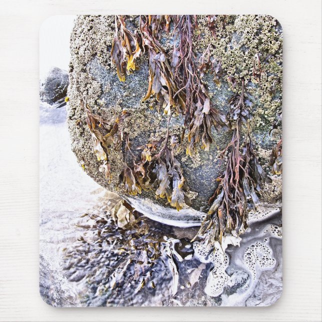 THE BEACH MOUSE MAT (Front)