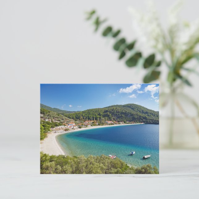 The beach Panormos of Skopelos island, Greece Postcard (Standing Front)
