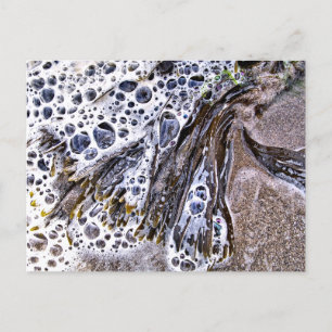 THE BEACH, SEAWEED, WATER AND SAND POSTCARD