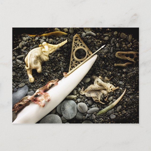 The Beaching Postcard (Front)