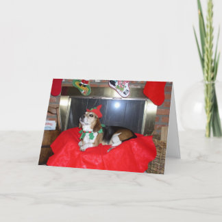 The Beagle Christmas Elf Holiday Card