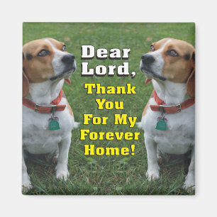 The Beagle's Prayer Magnet