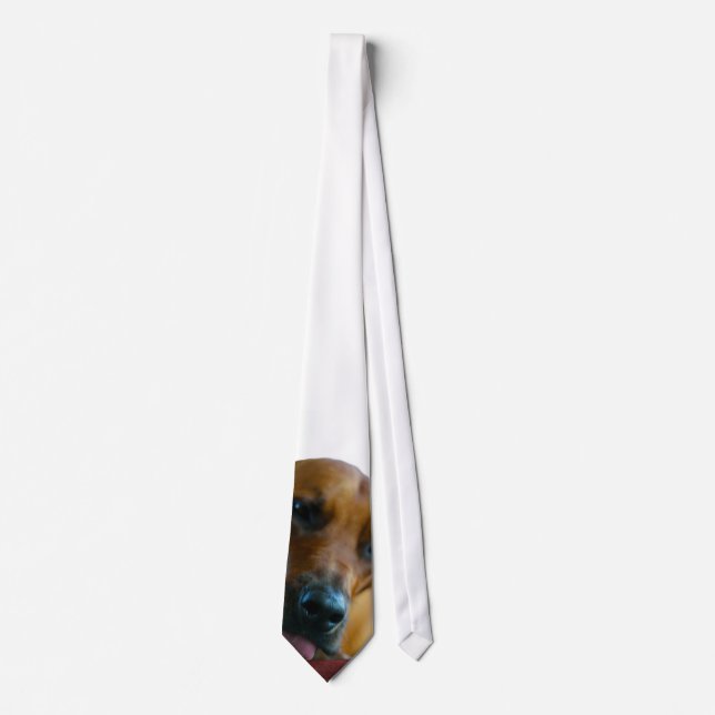 The Beau Tie (Front)
