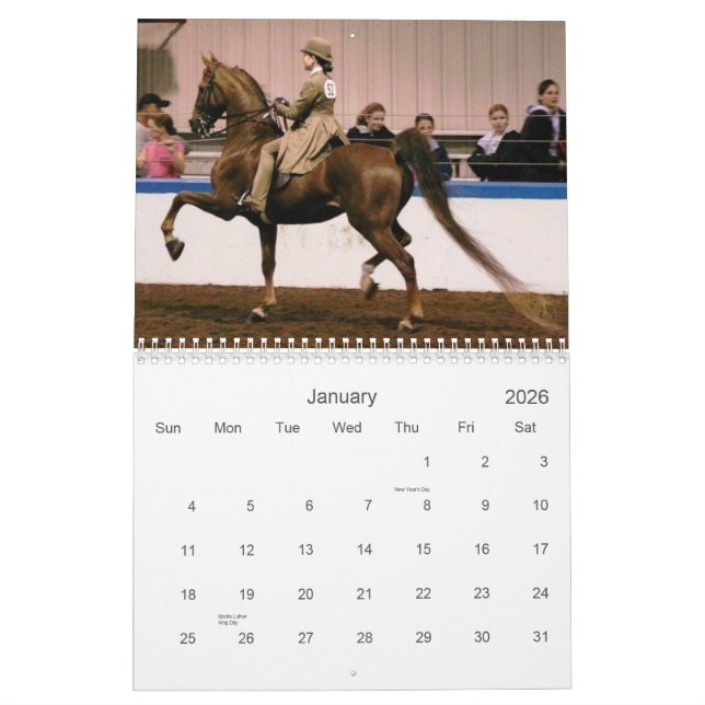 The Beautiful American Saddlebred Calendar (Jan 2026)