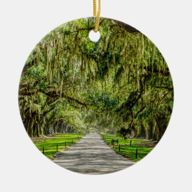 The Beautiful Avenue Of Oaks Ceramic Tree Decoration (Front)