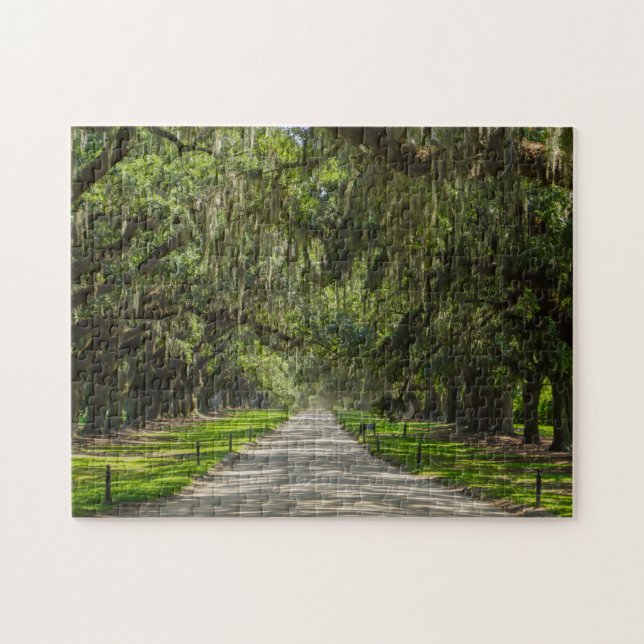 The Beautiful Avenue Of Oaks Jigsaw Puzzle (Horizontal)