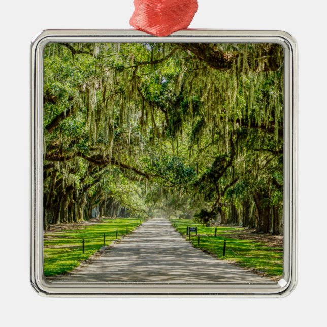 The Beautiful Avenue Of Oaks Metal Tree Decoration (Front)