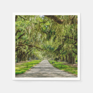 The Beautiful Avenue Of Oaks Napkin