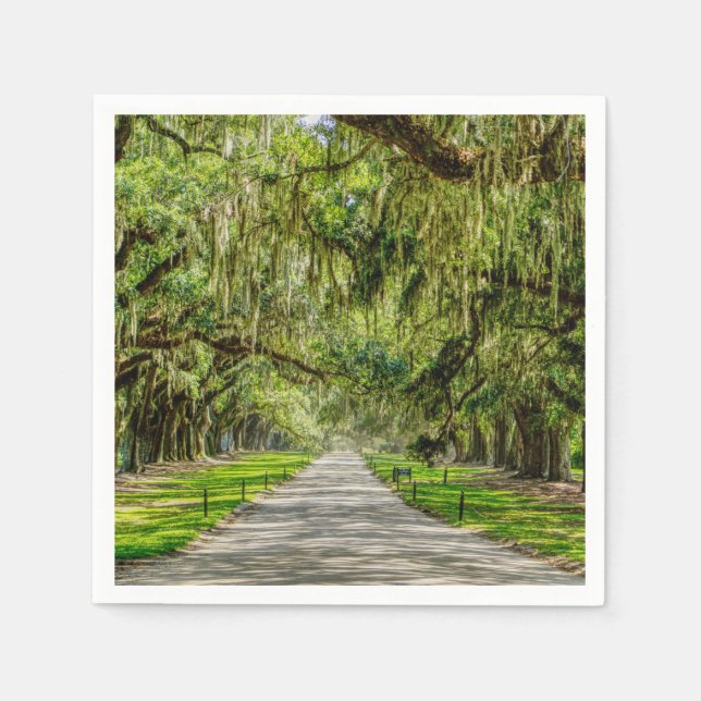 The Beautiful Avenue Of Oaks Napkin (Front)