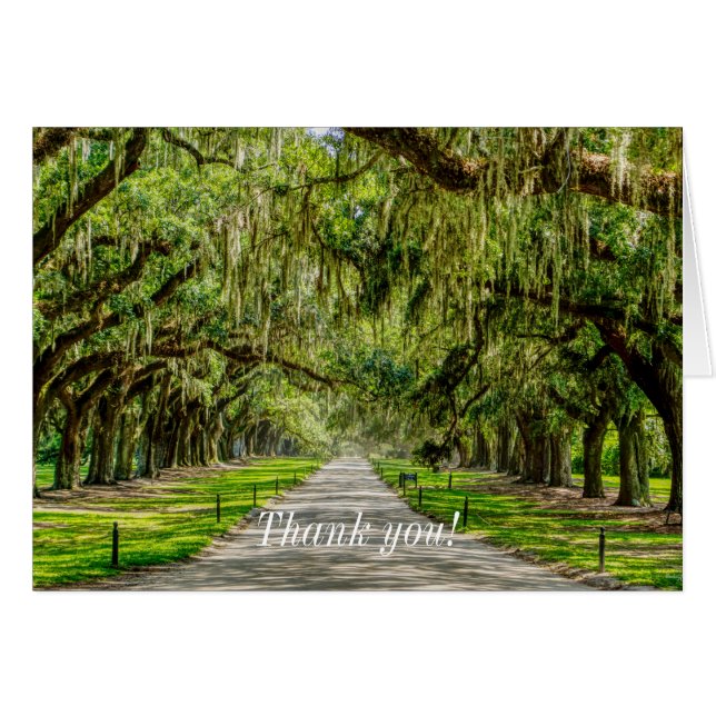 The Beautiful Avenue Of Oaks Thank You Card (Front Horizontal)