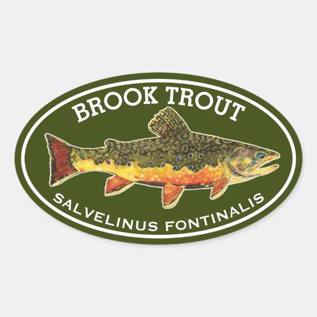 The Beautiful Brook Trout Oval Sticker (Front)