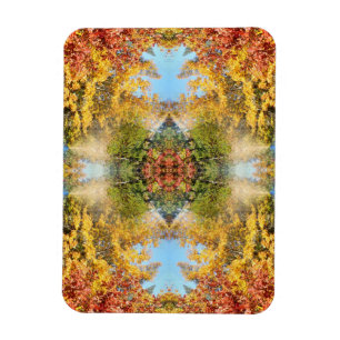 The beautiful forest in Autumn... Magnet