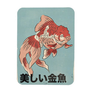 The Beautiful Goldfish Magnet