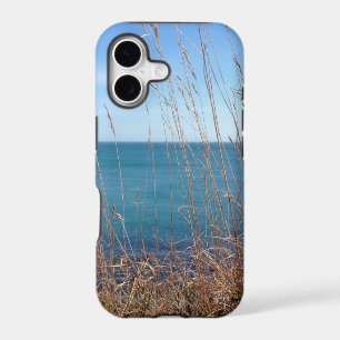 The beautiful Grass and Sea