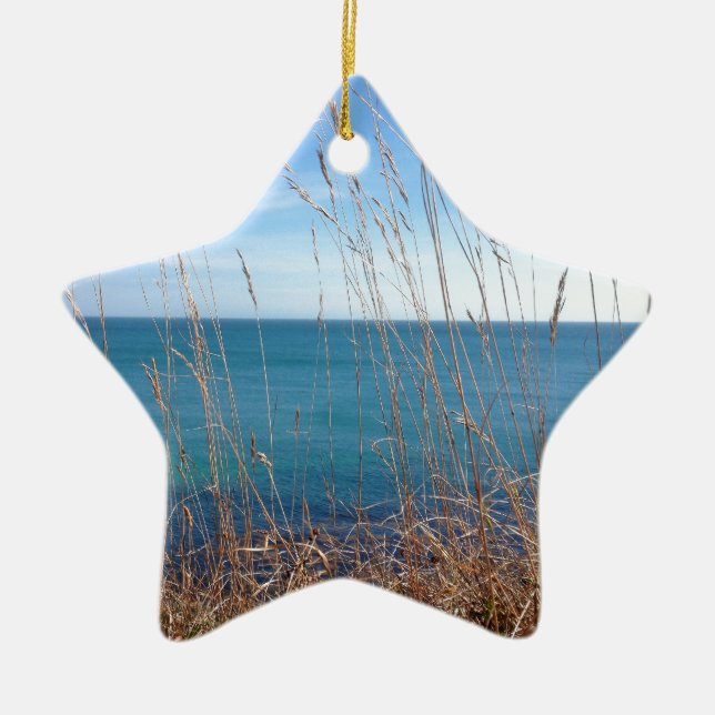 The beautiful Grass and Sea Ceramic Tree Decoration (Front)