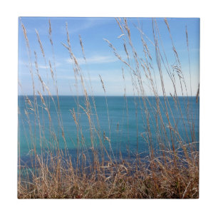 The beautiful Grass and Sea Tile