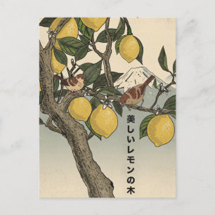 The Beautiful Lemon Tree Postcard