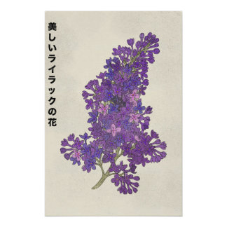 The Beautiful Lilac Flower Poster