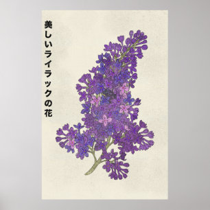 The Beautiful Lilac Flower Poster