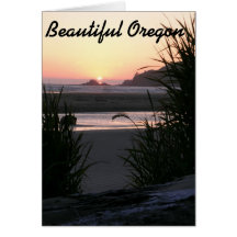 The Beautiful Oregon Coast