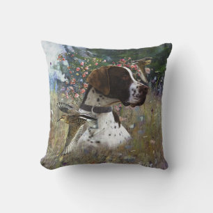 The beautiful pointer in the field cushion