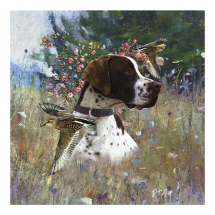 The beautiful pointer in the field photo print