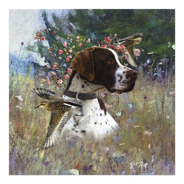 The beautiful pointer in the field  photo print (Front)