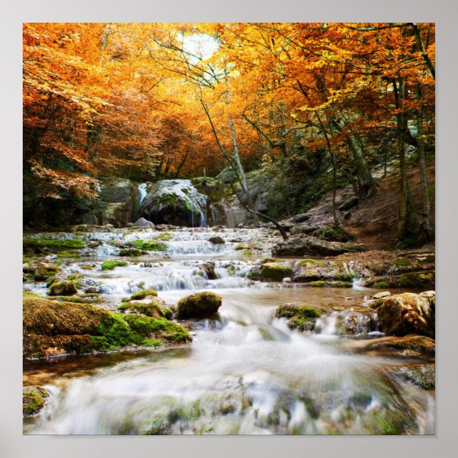 The beautiful waterfall in forest, autumn poster (Front)