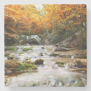 The beautiful waterfall in forest, autumn stone coaster