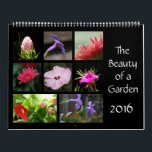 The Beauty of a Garden, 2016 Flower Calendar<br><div class="desc">The Beauty of a Garden,  2016 Flower Calendar A full year of beautiful photographs of flowers,  blooms and buds</div>