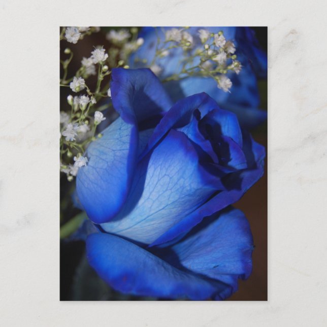 The Beauty Of Blue Postcard (Front)