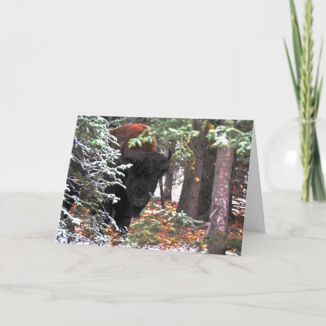 The Beauty of Chisana Card (Front)