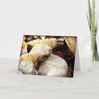 The Beauty of Chisana Card